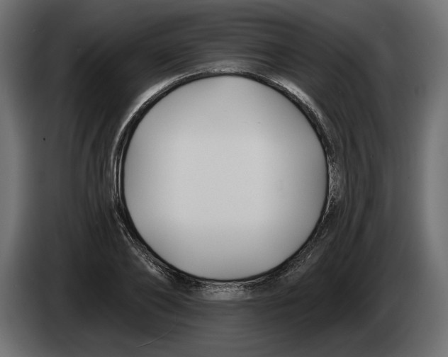 X0000083070886200703022154