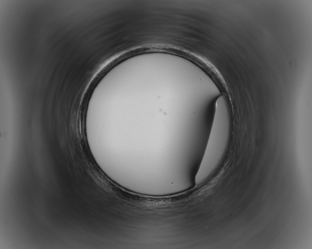 X0000083070887200703022154