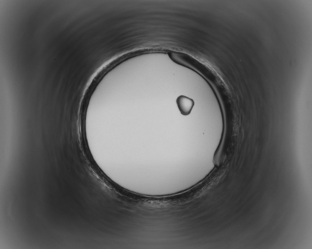 X0000083070888200703022154