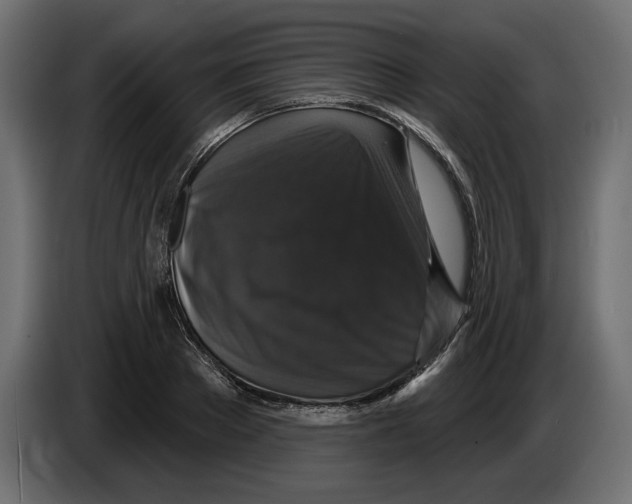 X0000083070889200703022154