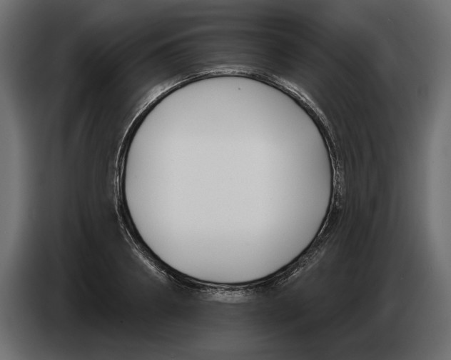 X0000083070890200703022154