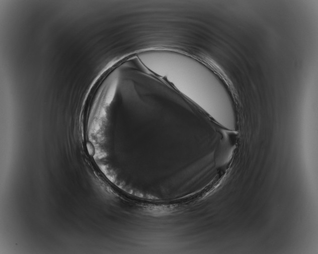 X0000083070892200703022154