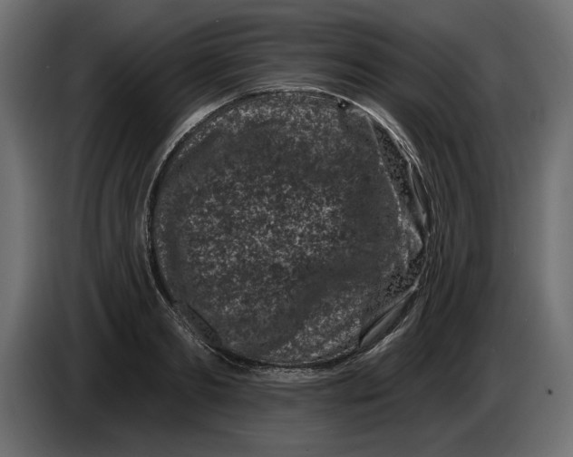 X0000083070893200703022154