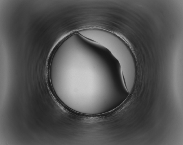 X0000083070894200703022154