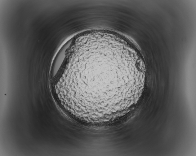 X0000083070895200703022154