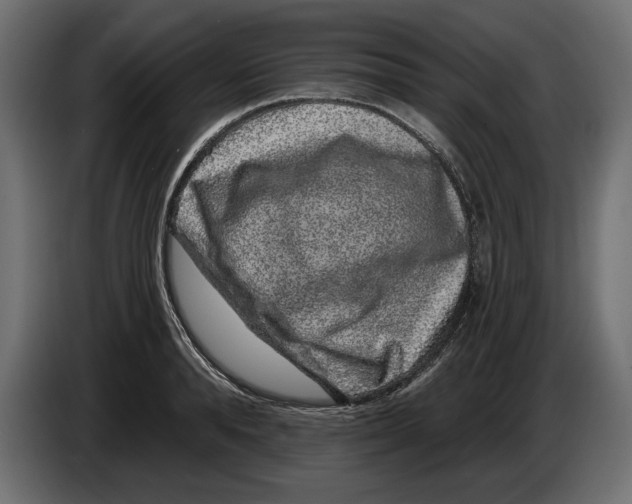 X0000083070896200703022154