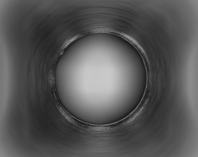 X0000083070897200703022154