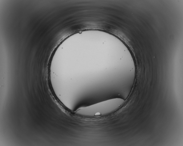 X0000083070898200703022154