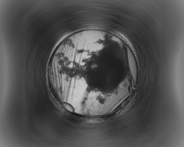 X0000083070899200703022154