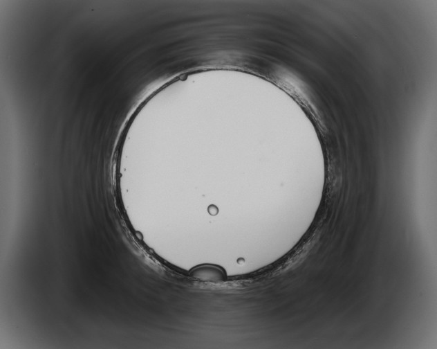 X0000083070900200703022154