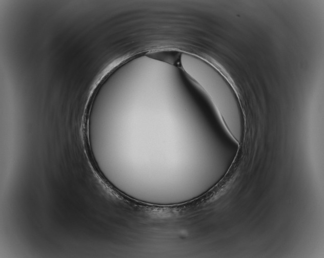 X0000083070901200703022154