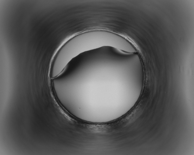 X0000083070902200703022154