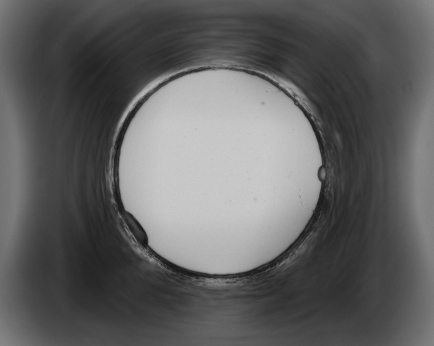 X0000083070904200703022154