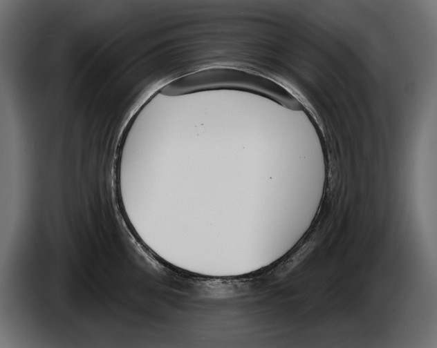 X0000083070906200703022154