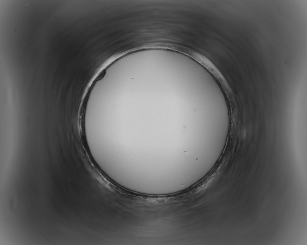 X0000083070908200703022154