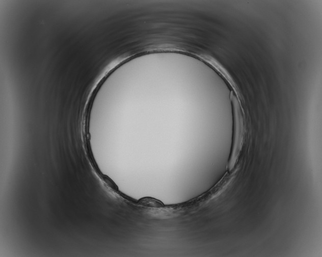 X0000083070909200703022154