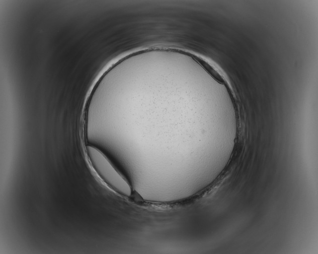 X0000083070911200703022154