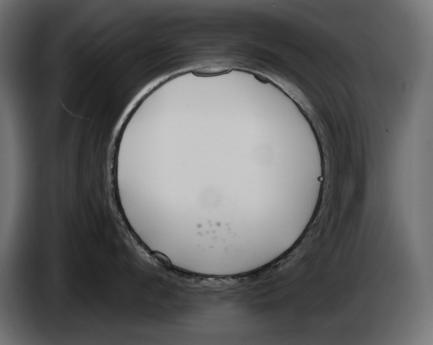 X0000083070912200703022154