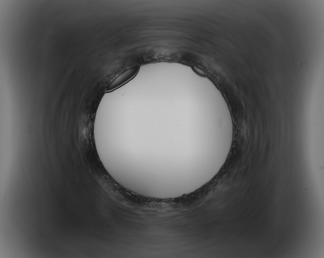 X0000083070914200703022153