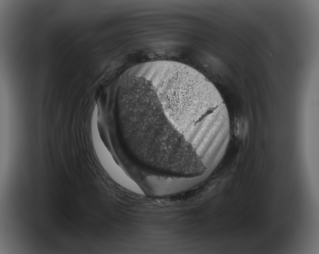 X0000083070915200703022153