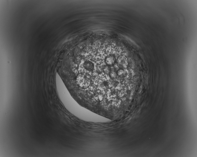 X0000083070917200703022153