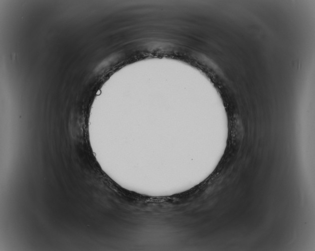 X0000083070918200703022153