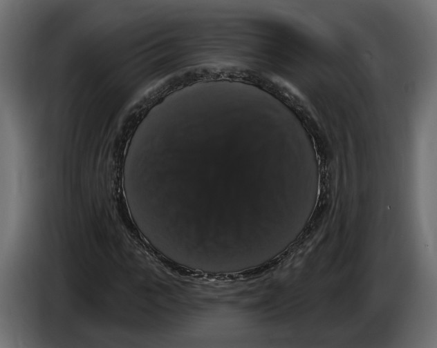 X0000083070919200703022153