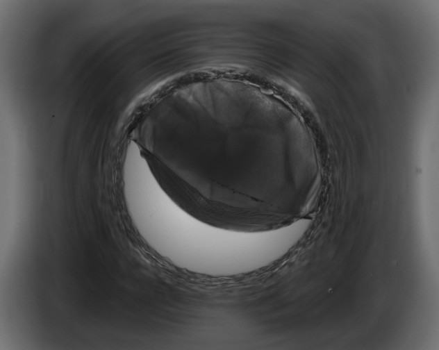 X0000083070920200703022153