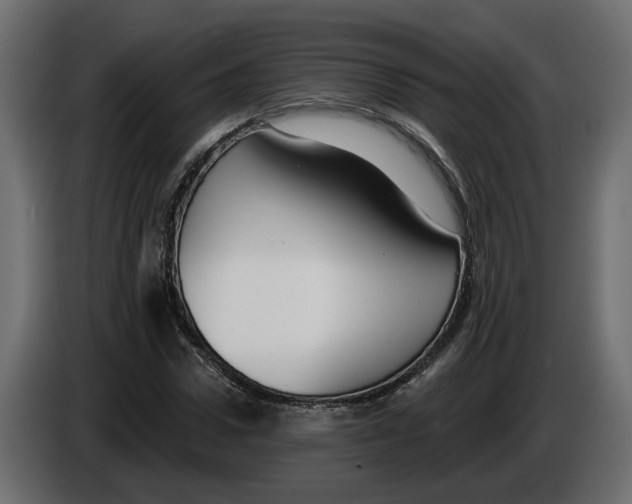 X0000083070922200703022153