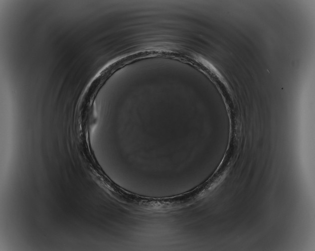 X0000083070923200703022153