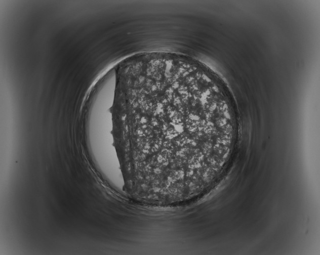 X0000083070925200703022153