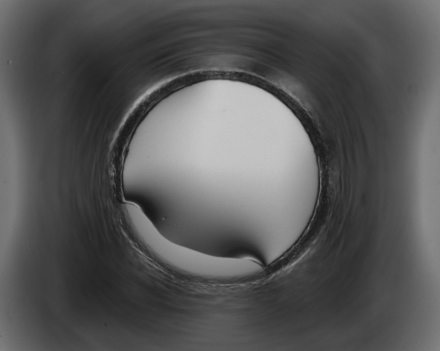 X0000083070926200703022153