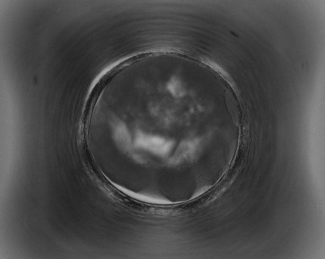 X0000083070928200703022153