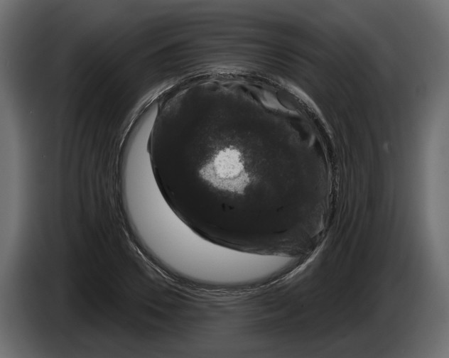 X0000083070930200703022153