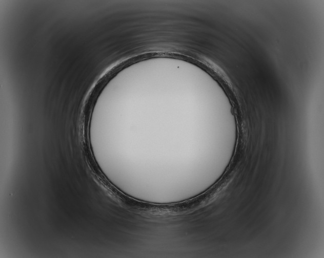 X0000083070931200703022153