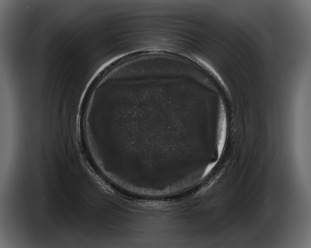 X0000083070932200703022153