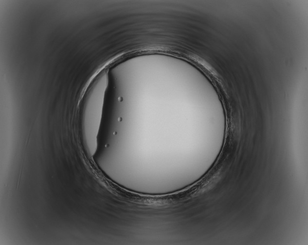 X0000083070933200703022153