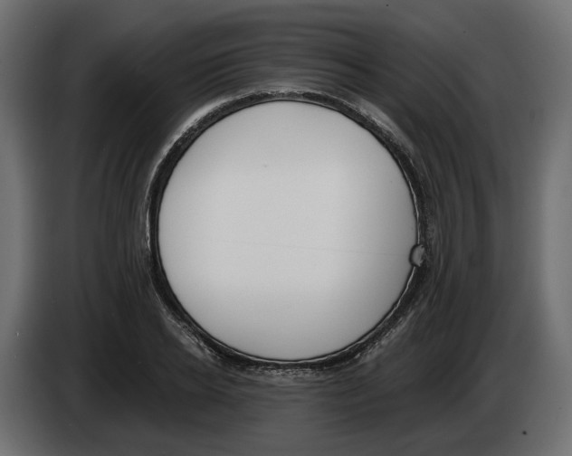 X0000083070934200703022153