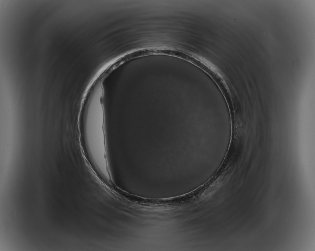 X0000083070935200703022153