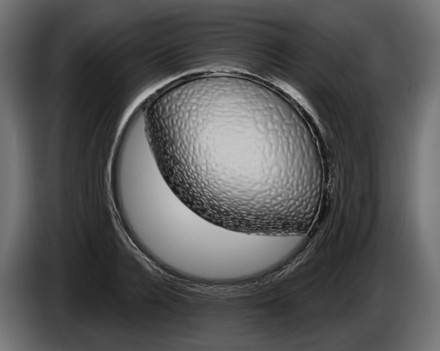 X0000083070936200703022153