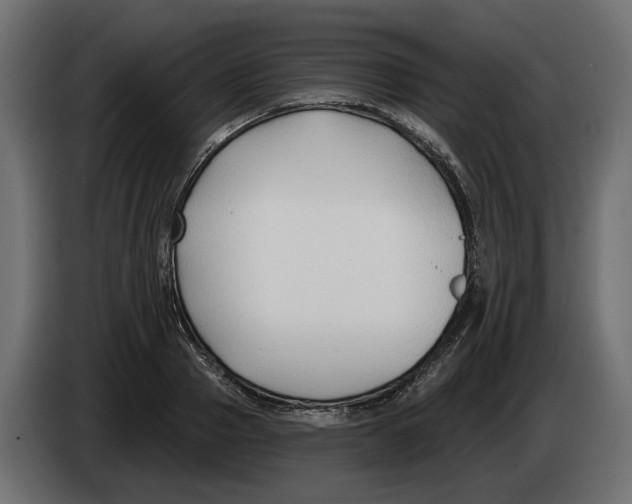 X0000083070937200703022153