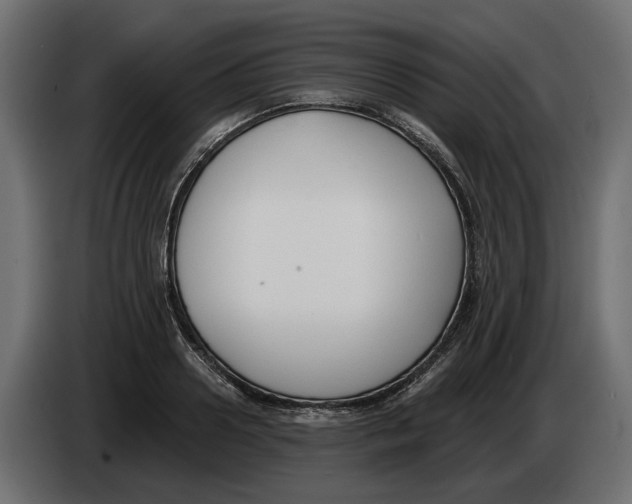 X0000083070938200703022153