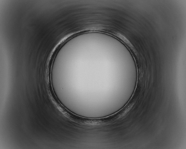 X0000083070939200703022153