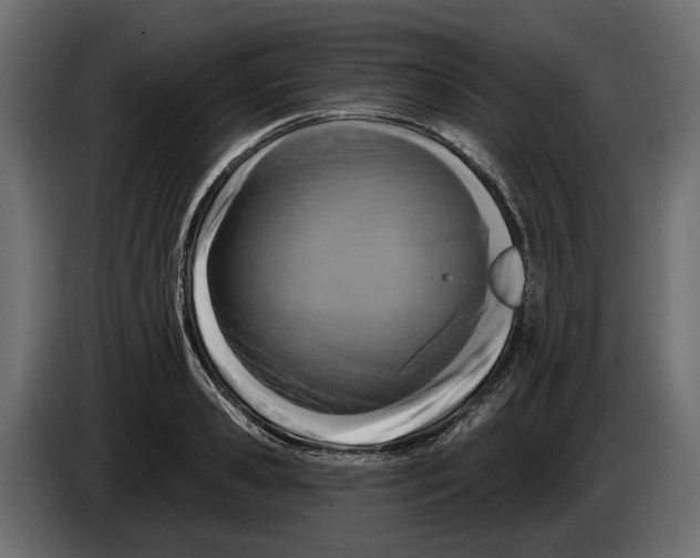 X0000083070941200703022153