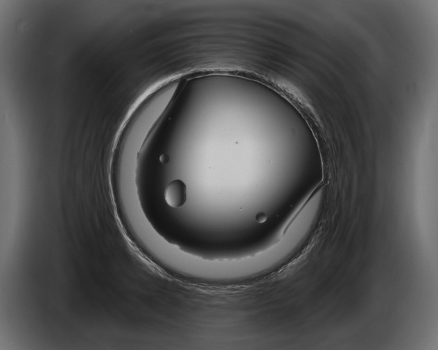 X0000083070942200703022153