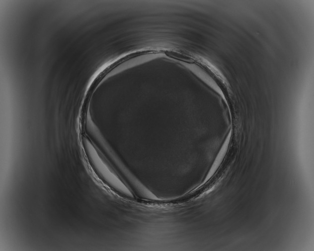 X0000083070944200703022153