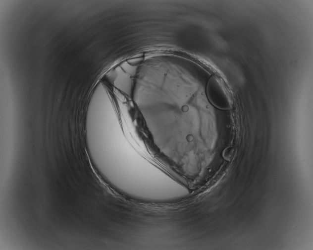 X0000083070945200703022153