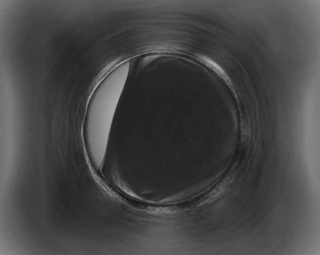 X0000083070946200703022153