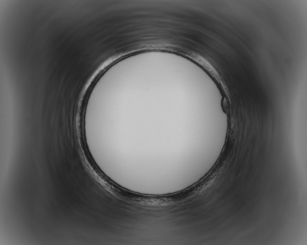 X0000083070947200703022153