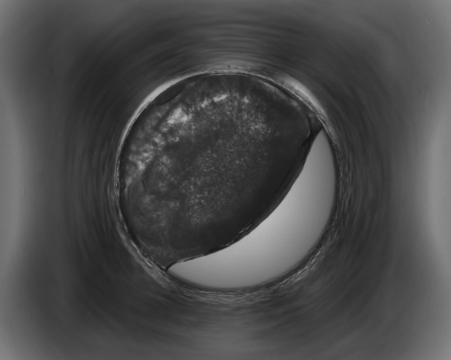 X0000083070948200703022153